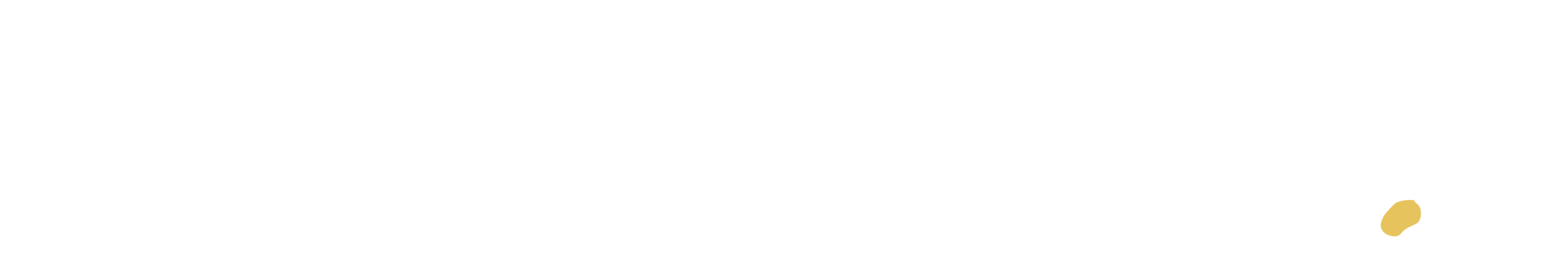 Filmsnickeriet logo